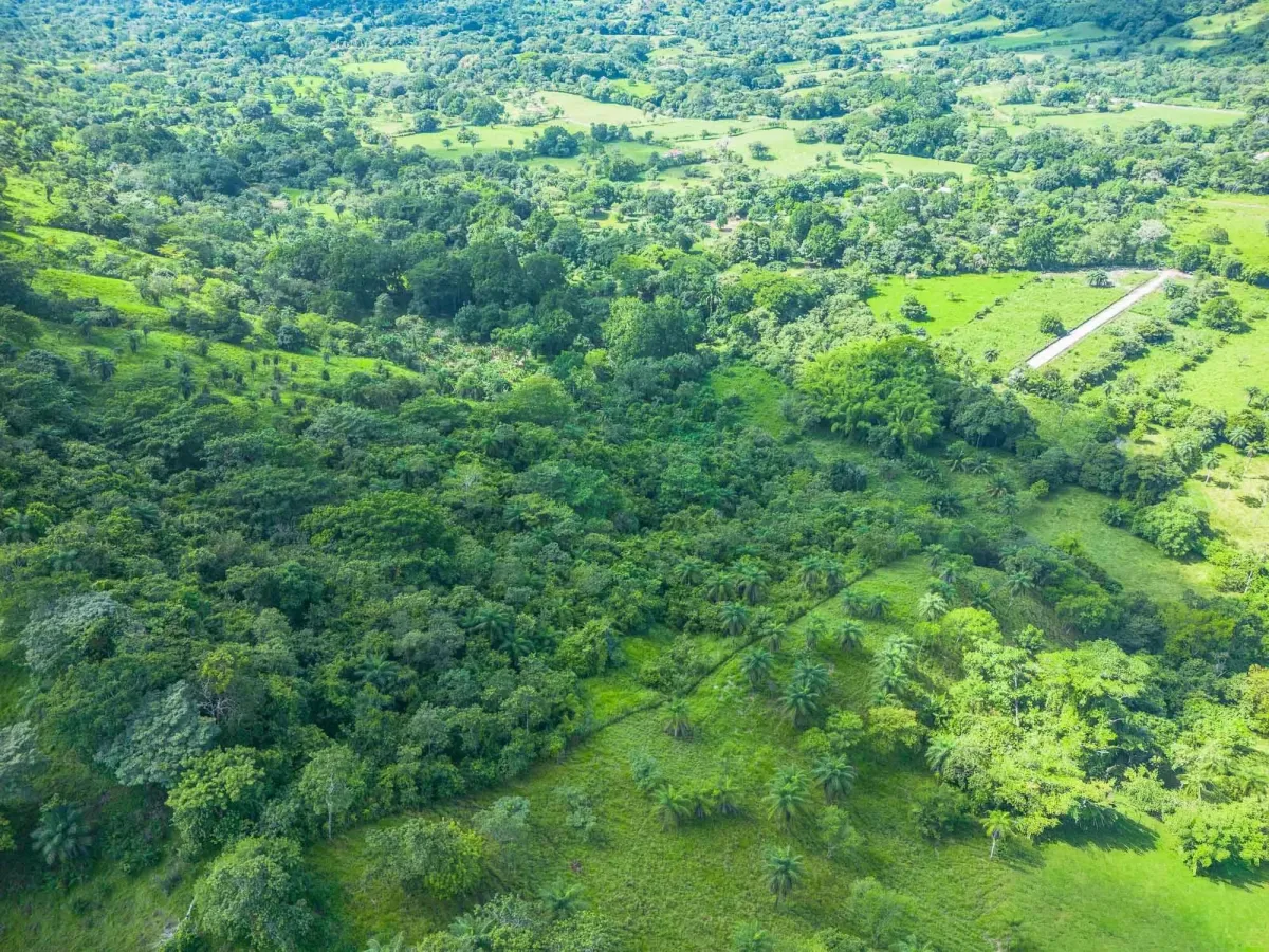 Propiedad diversa de 3 hectáreas en venta