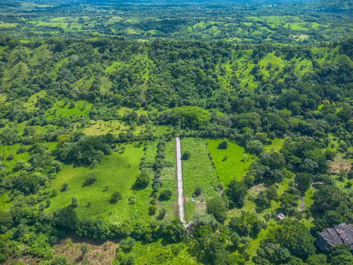 Propiedad diversa de 3 hectáreas en venta