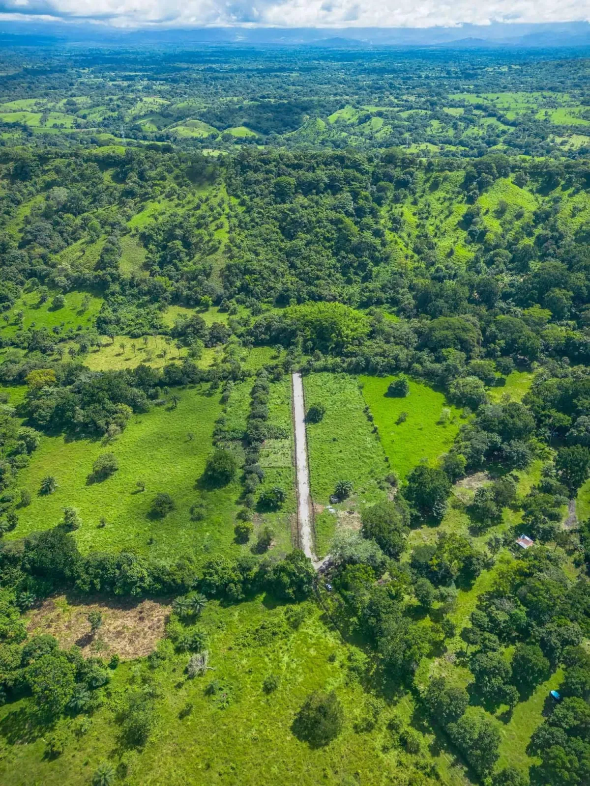 Propiedad diversa de 3 hectáreas en venta