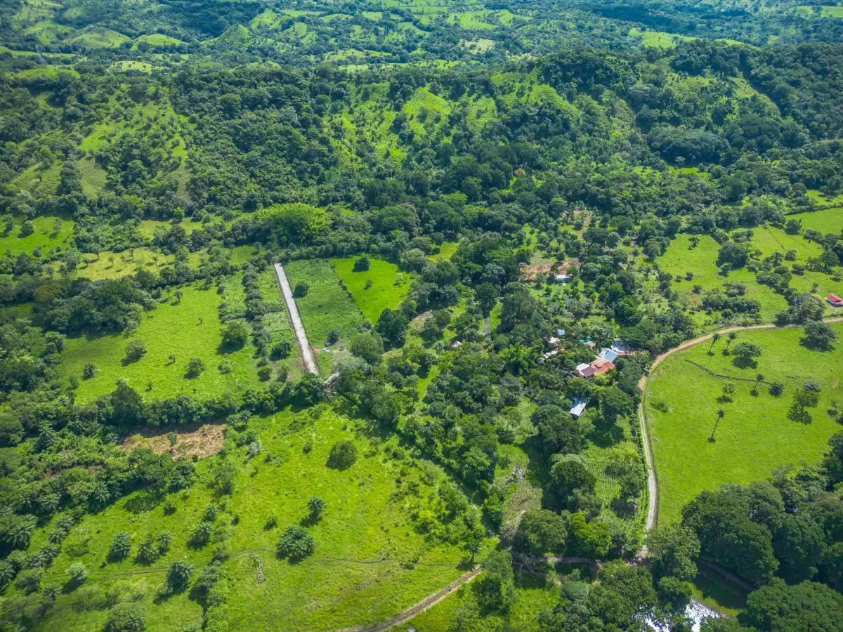 Propiedad diversa de 3 hectáreas en venta