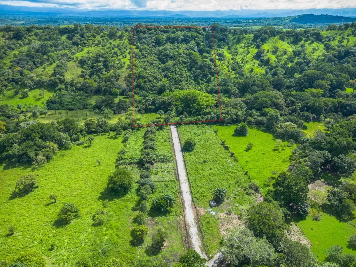 Propiedad diversa de 3 hectáreas en venta