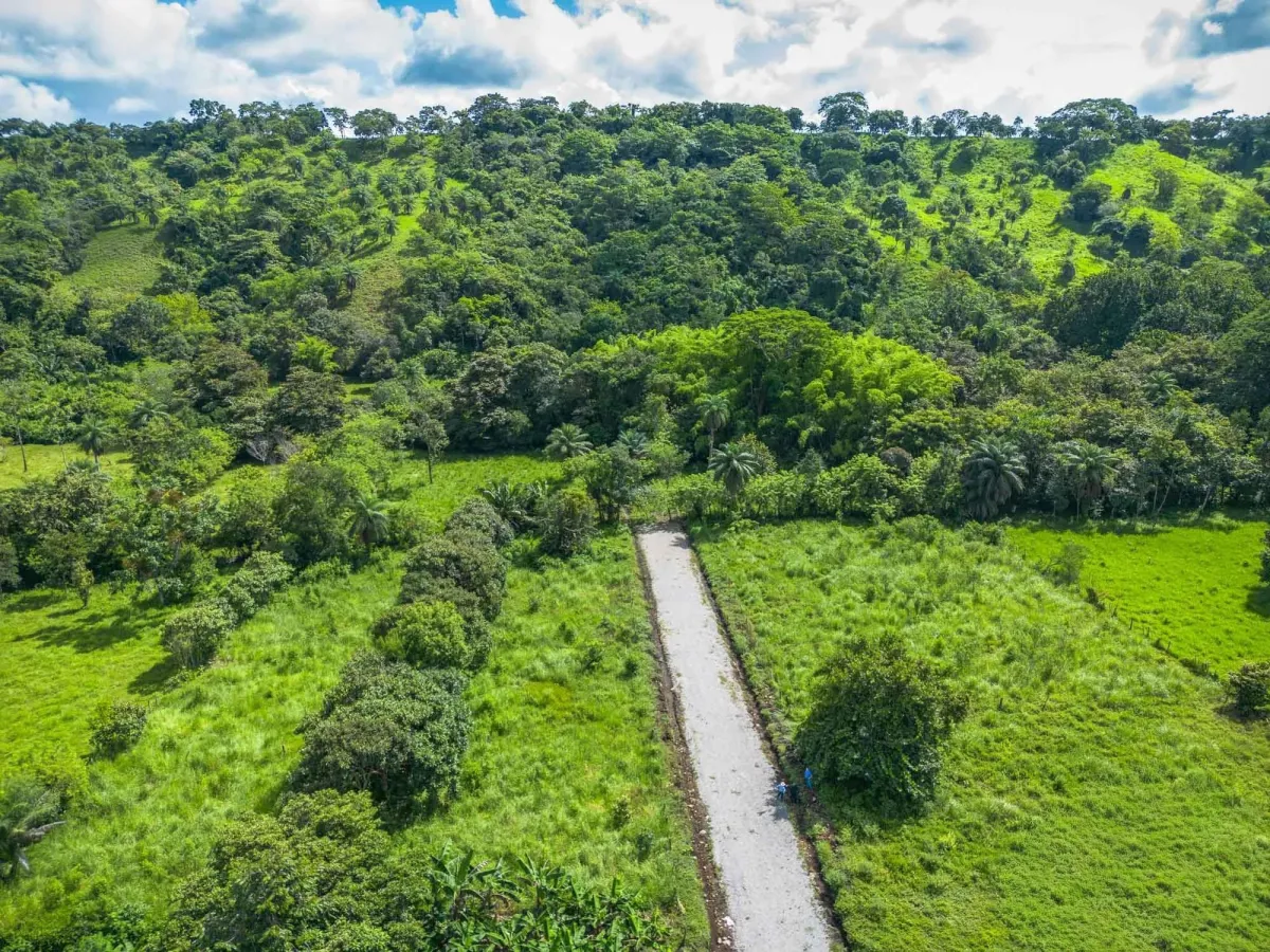 Propiedad diversa de 3 hectáreas en venta