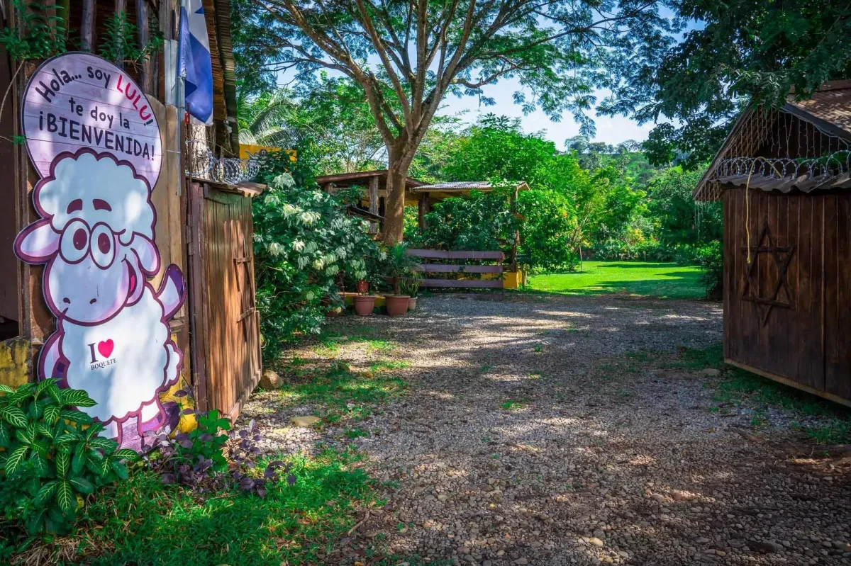 Propiedad diversa de 3 hectáreas en venta