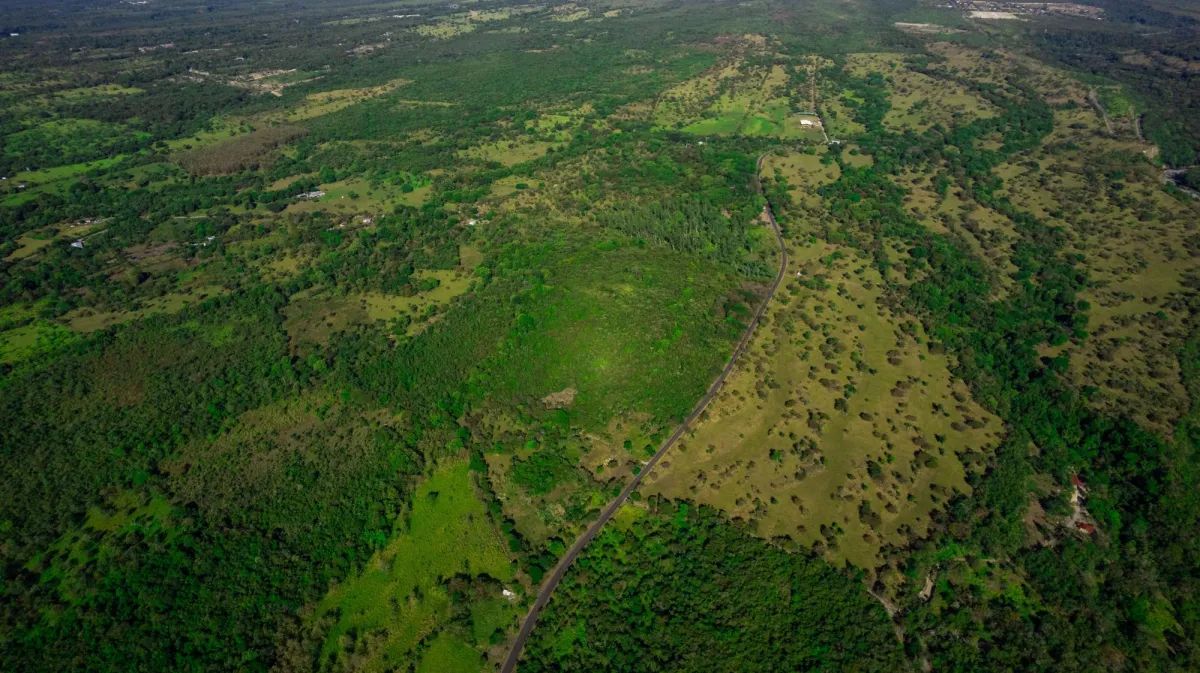 10 Hectáreas en Venta en Caldera Boquete