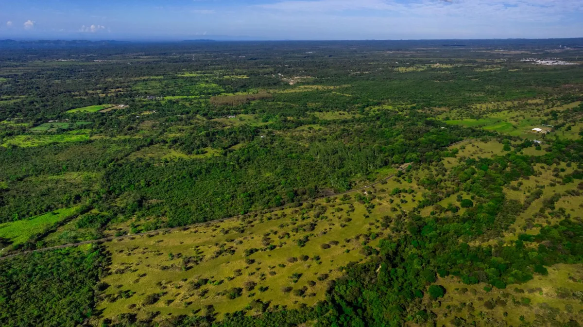 10 Hectáreas en Venta en Caldera Boquete