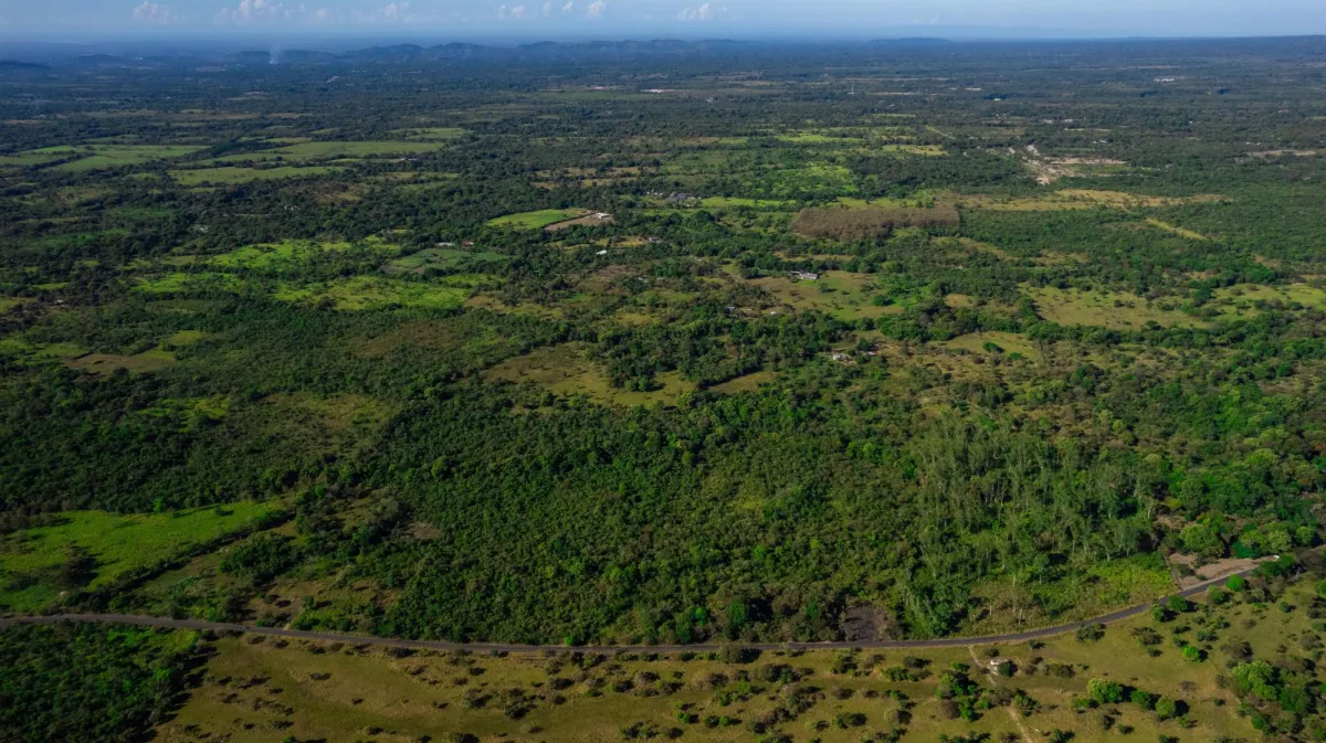 10 Hectáreas en Venta en Caldera Boquete