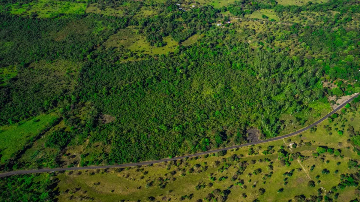 10 Hectáreas en Venta en Caldera Boquete