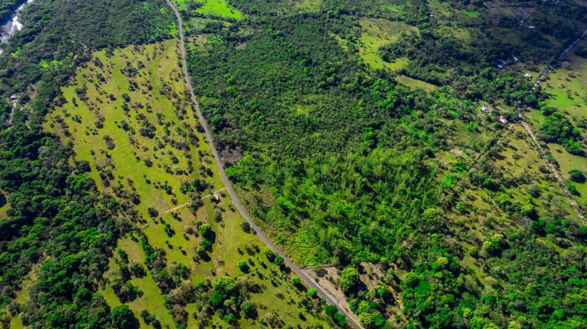 10 Hectáreas en Venta en Caldera Boquete