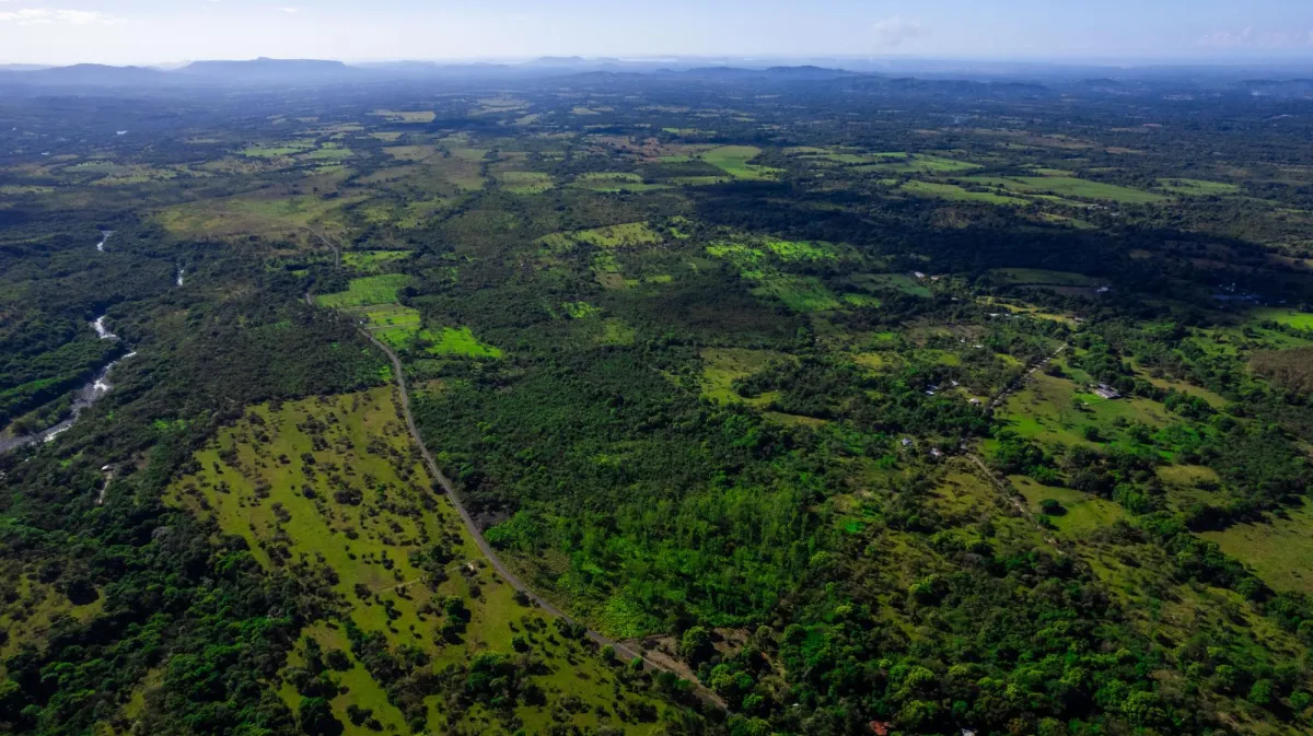 10 Hectáreas en Venta en Caldera Boquete