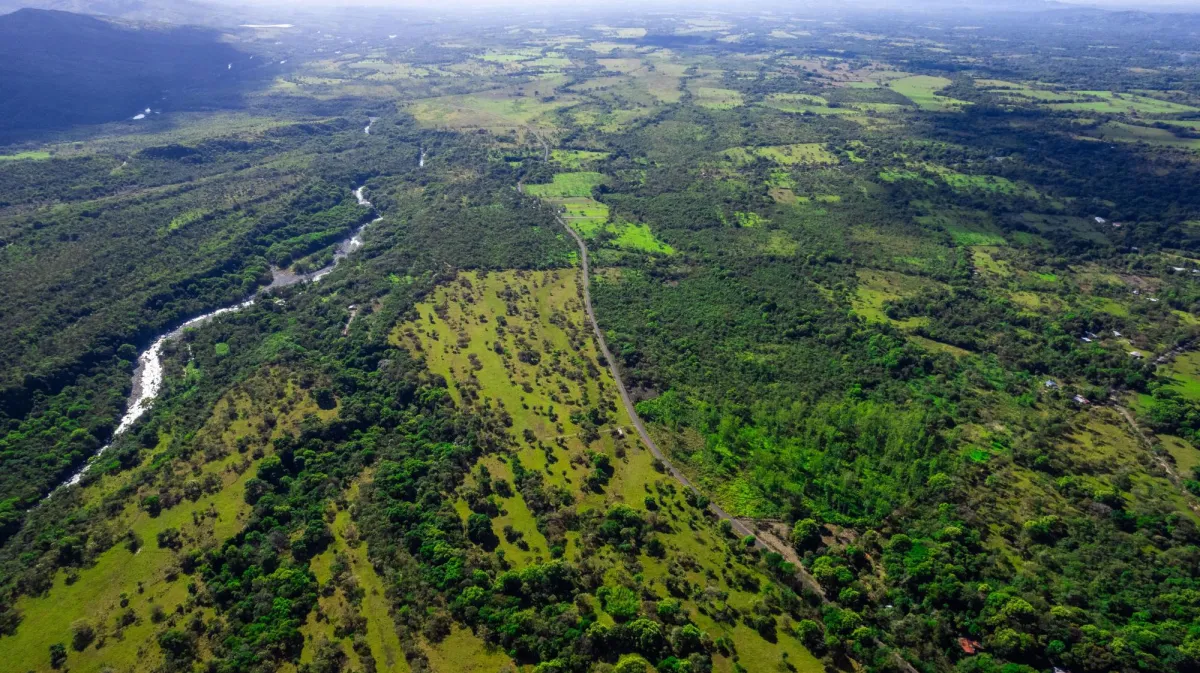 10 Hectáreas en Venta en Caldera Boquete