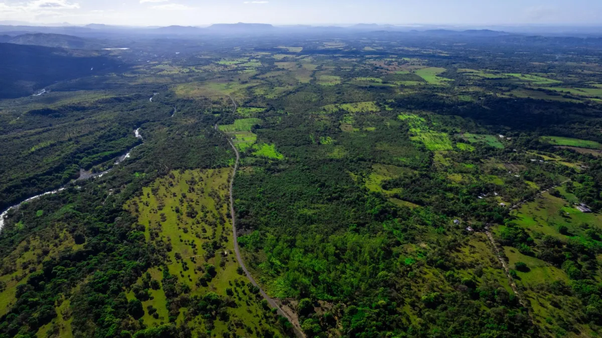10 Hectáreas en Venta en Caldera Boquete