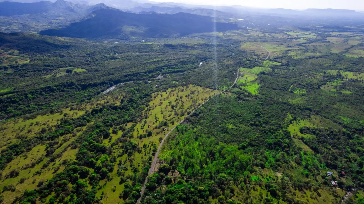 10 Hectáreas en Venta en Caldera Boquete