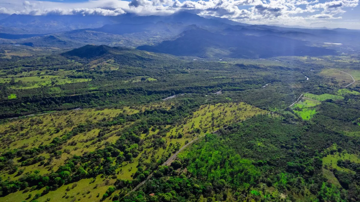 10 Hectáreas en Venta en Caldera Boquete