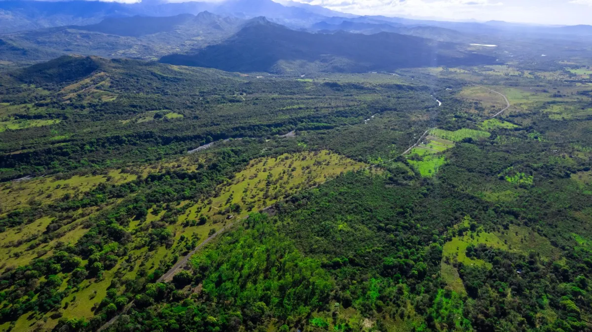 10 Hectáreas en Venta en Caldera Boquete