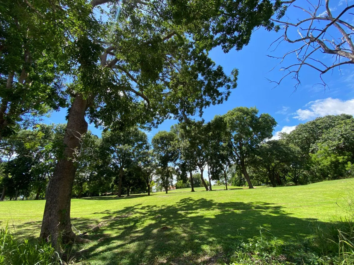 屋 在 Coronado 出售