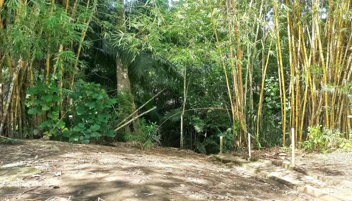 Charming Beachside Duplex Puerto Armuelles, Panama