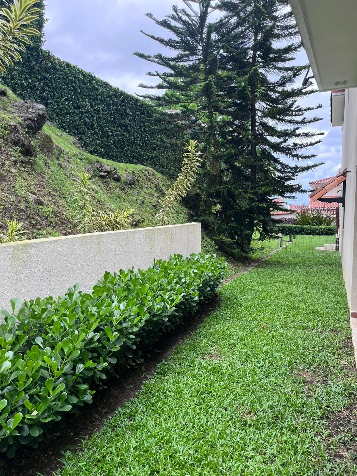 Altos de Panama Family Home for Sale