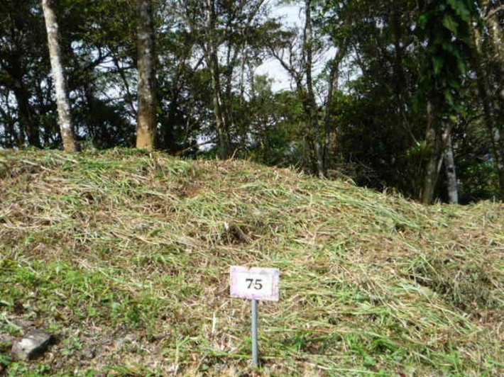 山高地很多很酷的拉Rioca位置