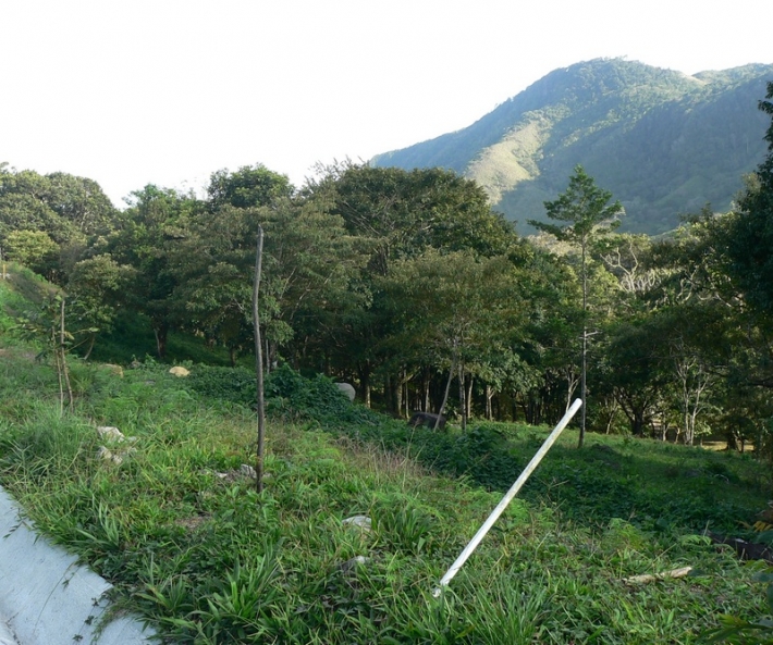 大型建筑很高的地区图斯德玛丽亚-非常有价格竞争力的!
