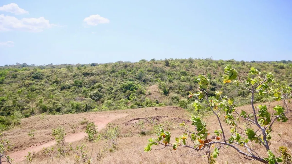 7.5 HECTARES LAND, OCEAN AND MOUNTAINS VIEWS