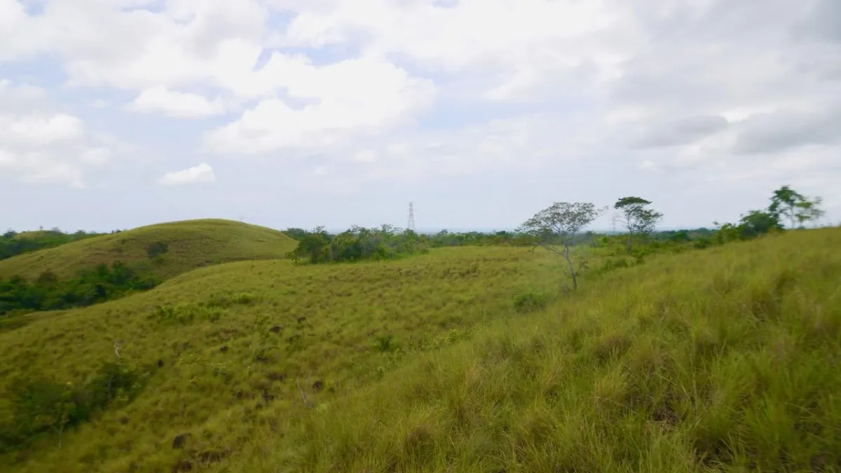 7.5 HECTARES LAND, OCEAN AND MOUNTAINS VIEWS