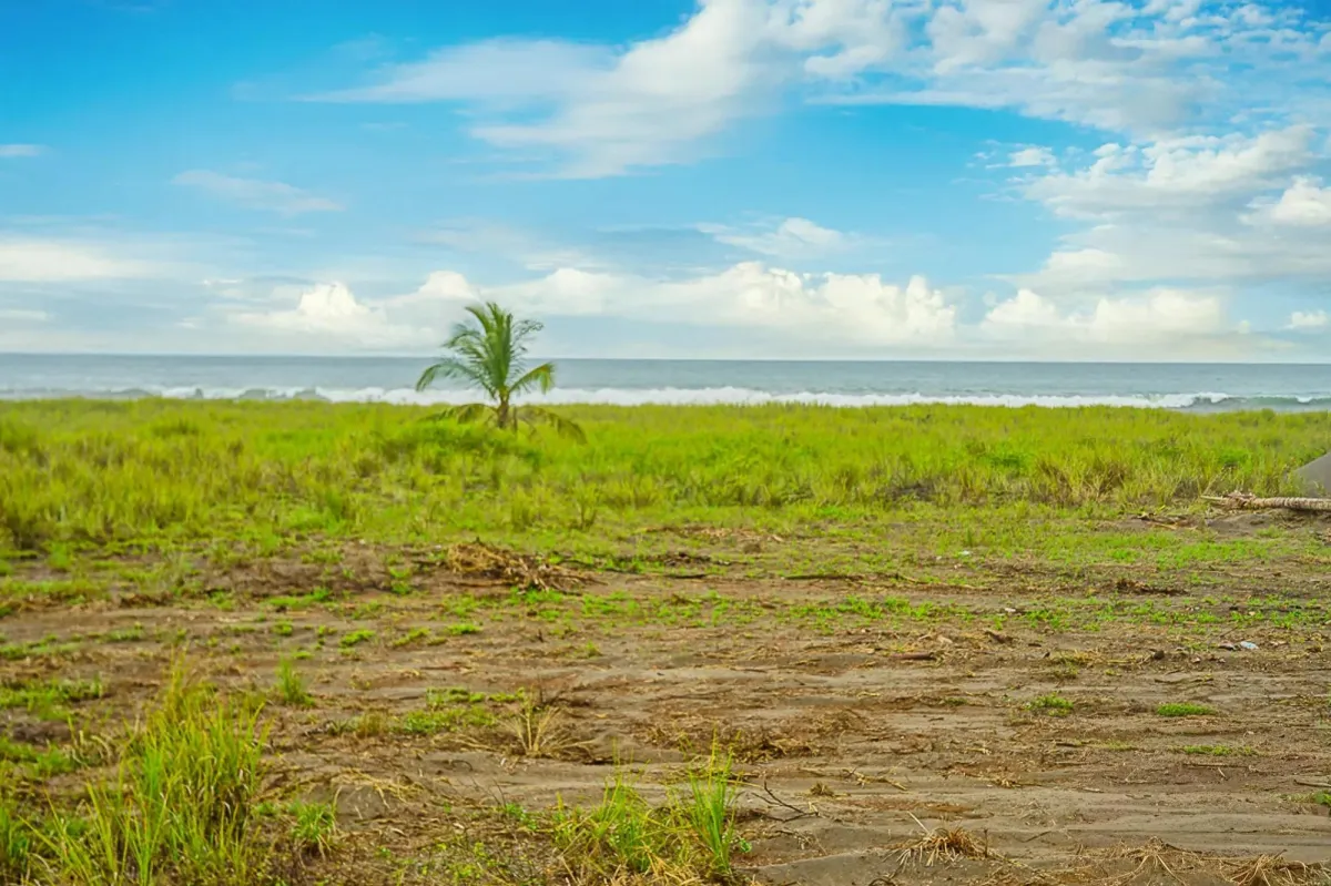 Lote frente al mar en venta