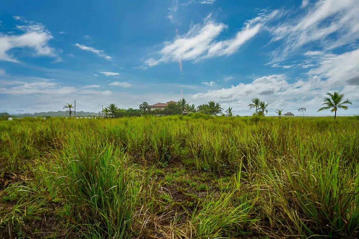 Lote frente al mar en venta