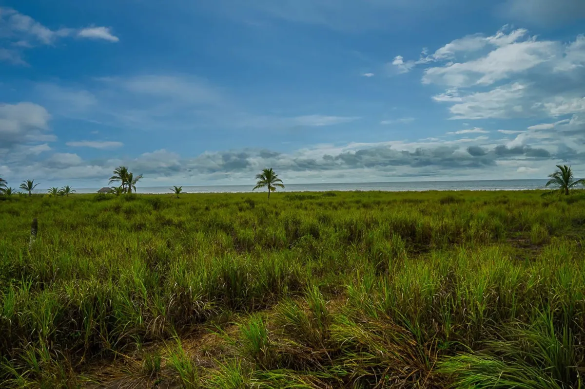Lote frente al mar en venta