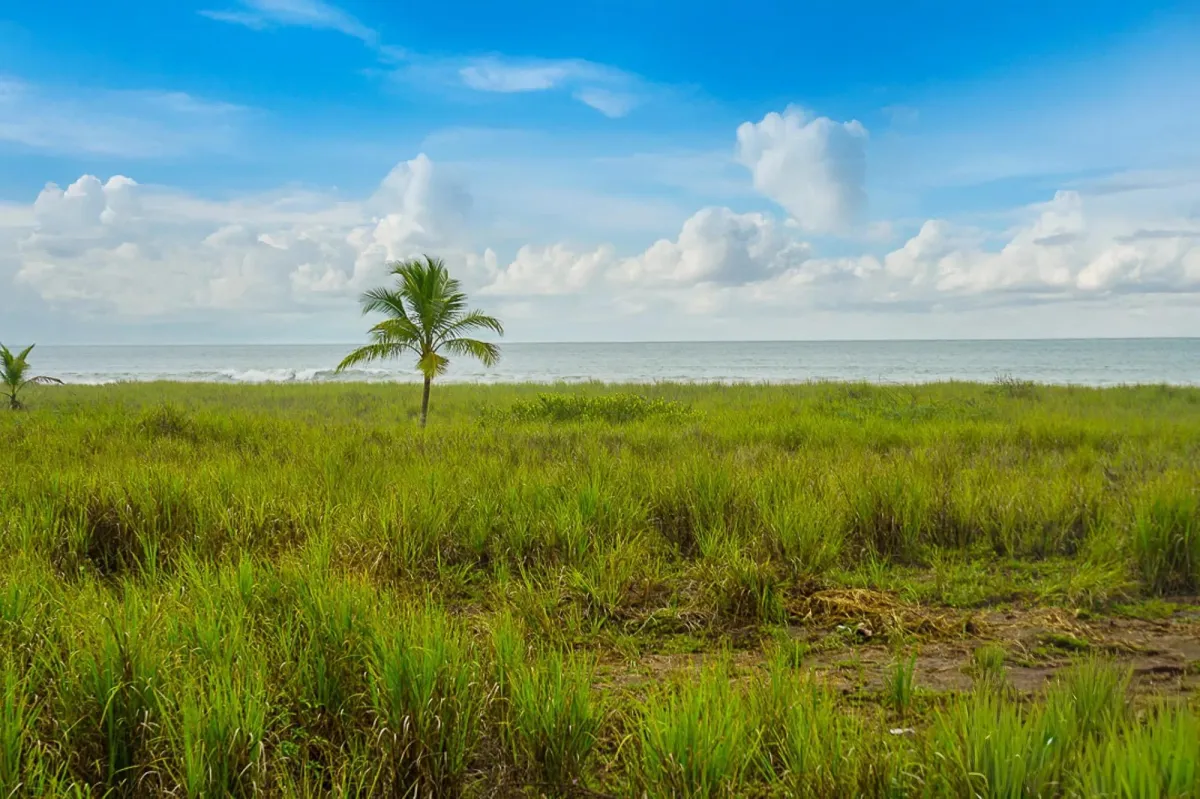 Lote frente al mar en venta