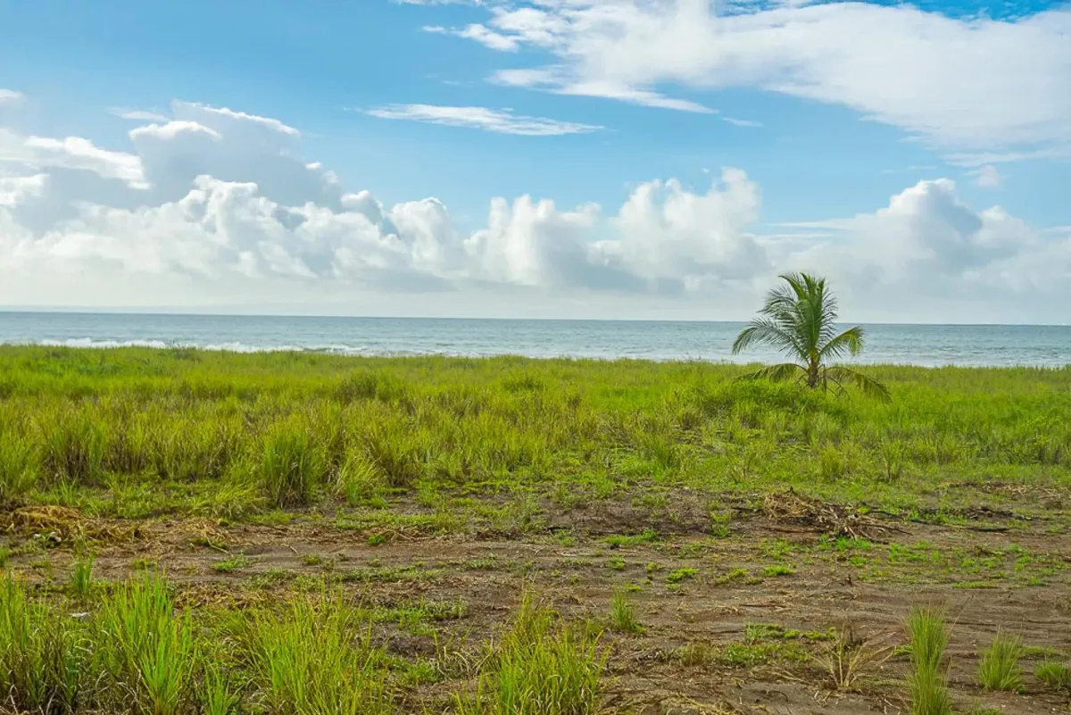 Lote frente al mar en venta
