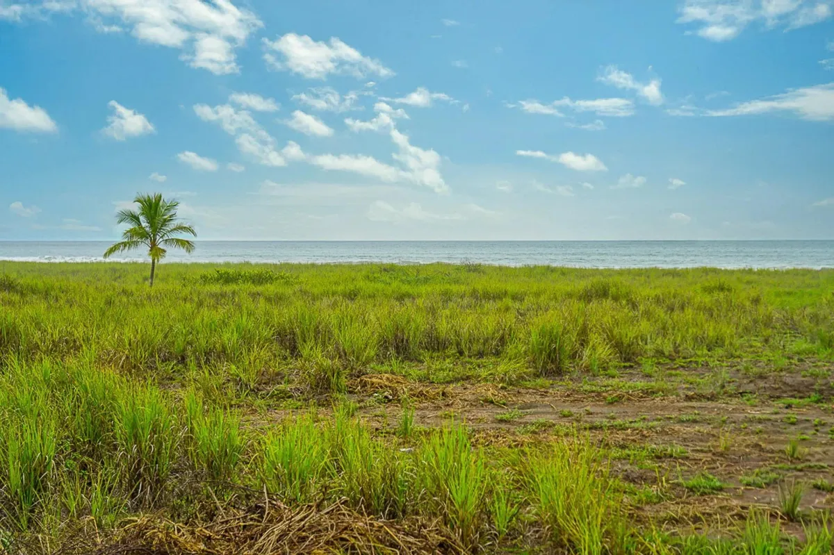 Lote frente al mar en venta