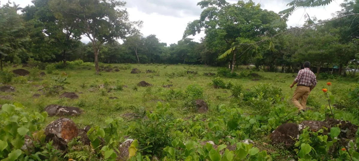 Venta de lotes en Las Cañas en Chiriquí