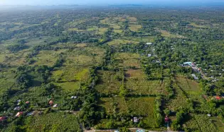 11.85 Acres with Private Creek in Boqueron Panama