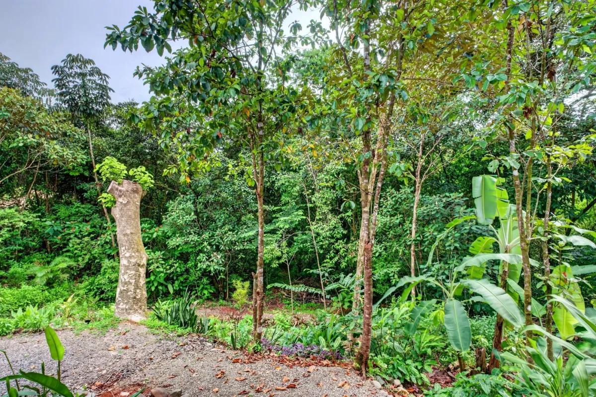 Casa Ecológica Diseñada por Arquitectos en Venta en Torio