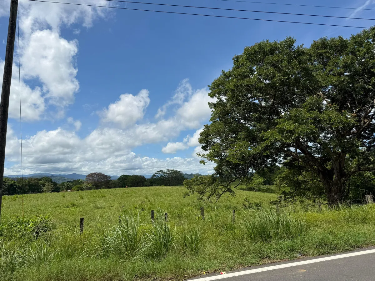 Venta de finca en San Juan de San Lorenzo