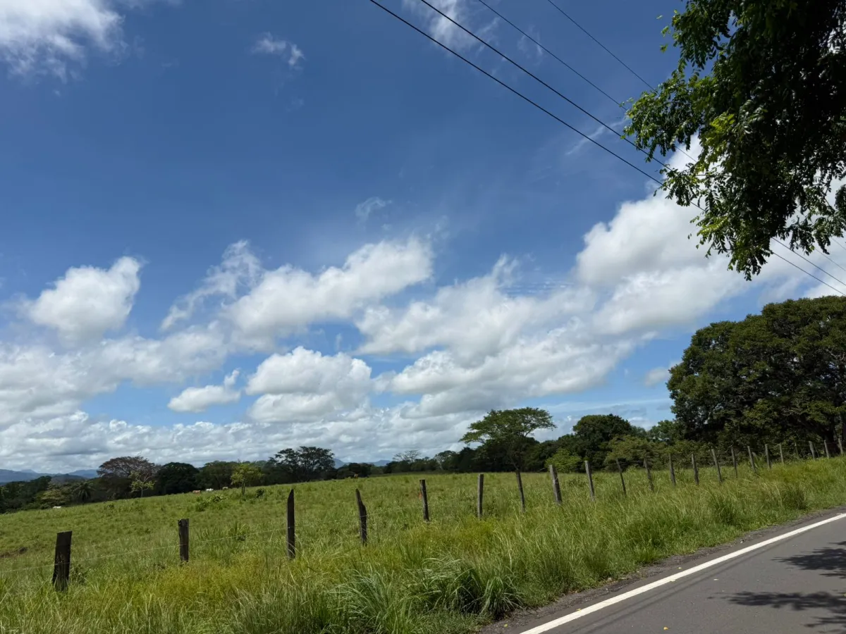 Venta de finca en San Juan de San Lorenzo