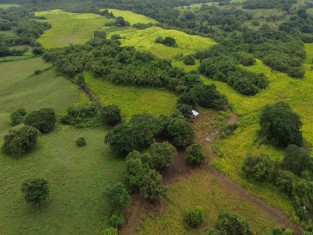 Земельный / Ферма