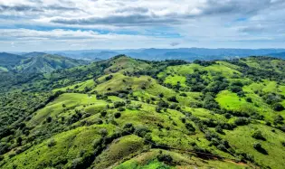 7 Ha Farm in Las Tablas Los Santos Panama