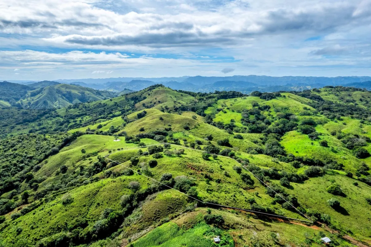 7 Ha Farm in Las Tablas Los Santos Panama