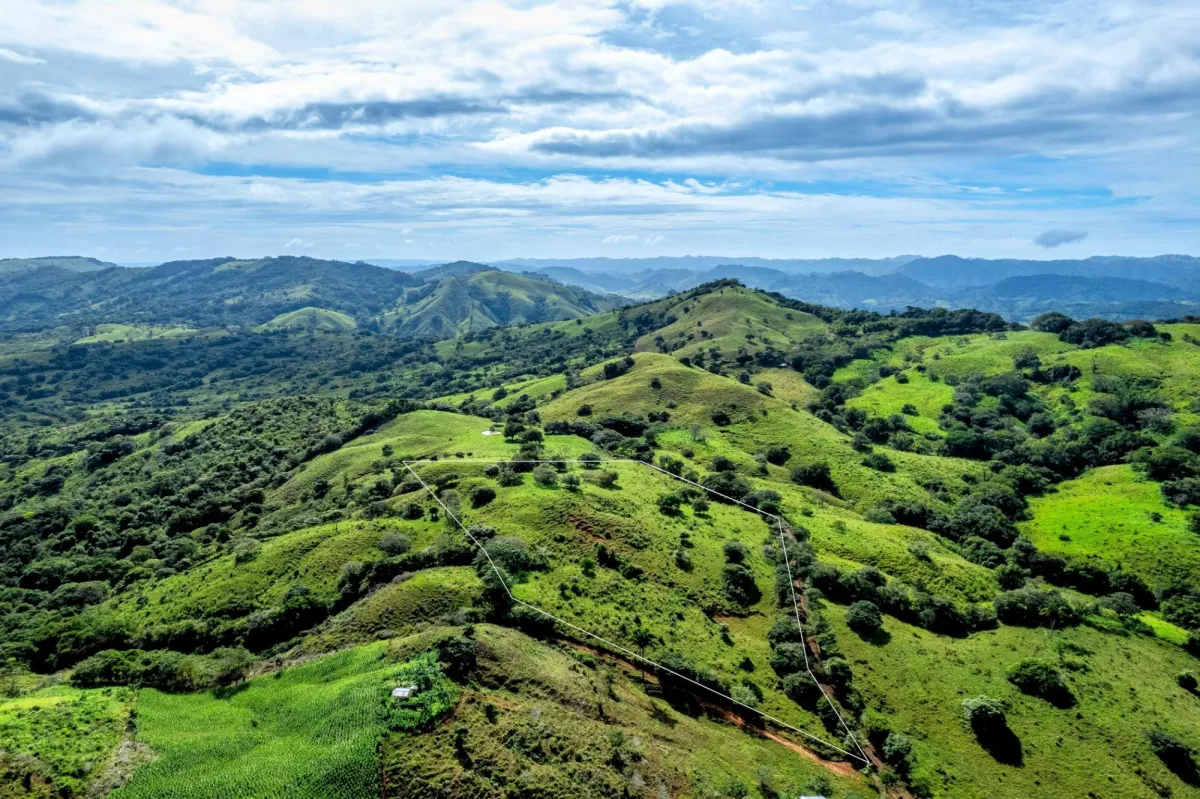7 Ha Farm in Las Tablas Los Santos Panama
