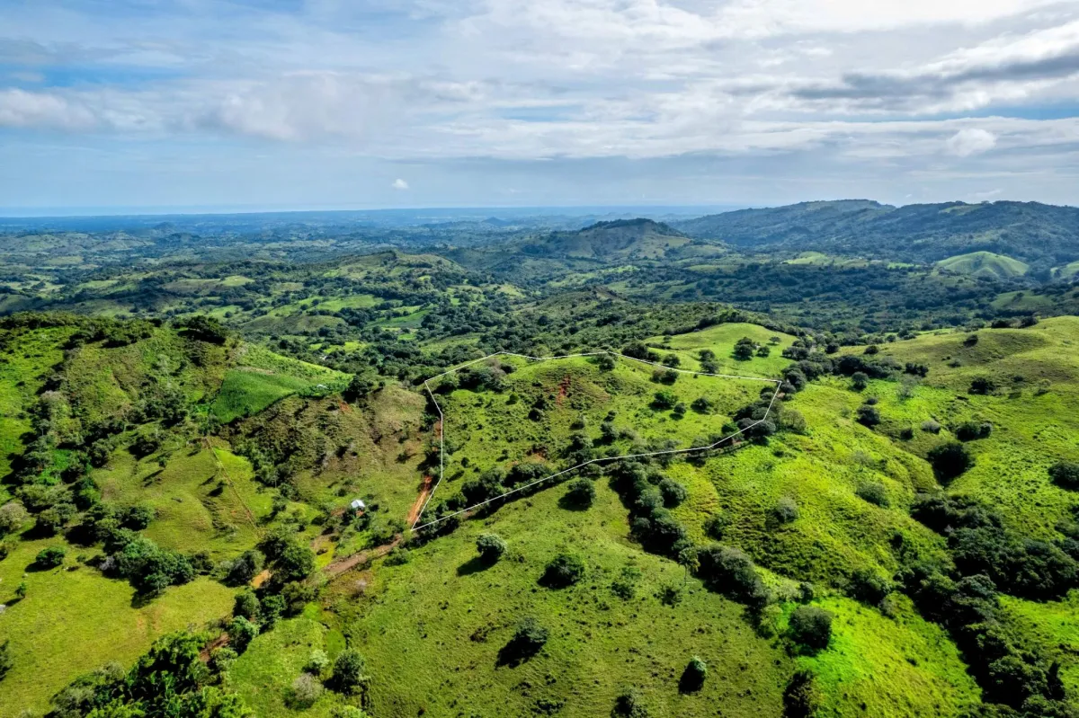7 Ha Farm in Las Tablas Los Santos Panama