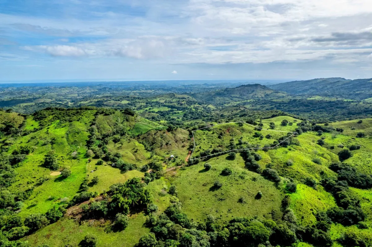 7 Ha Farm in Las Tablas Los Santos Panama