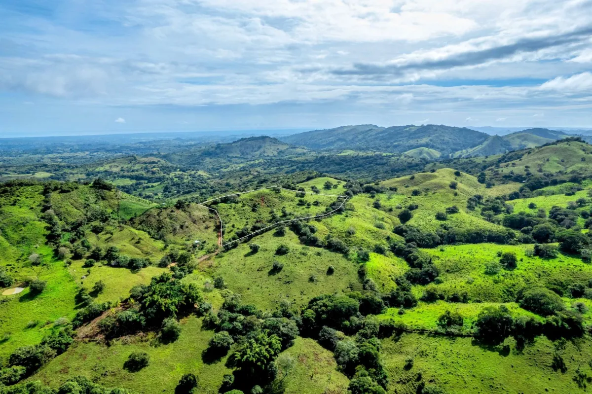 7 Ha Farm in Las Tablas Los Santos Panama