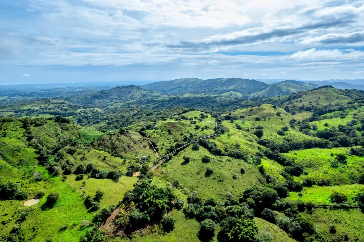 7 Ha Farm in Las Tablas Los Santos Panama