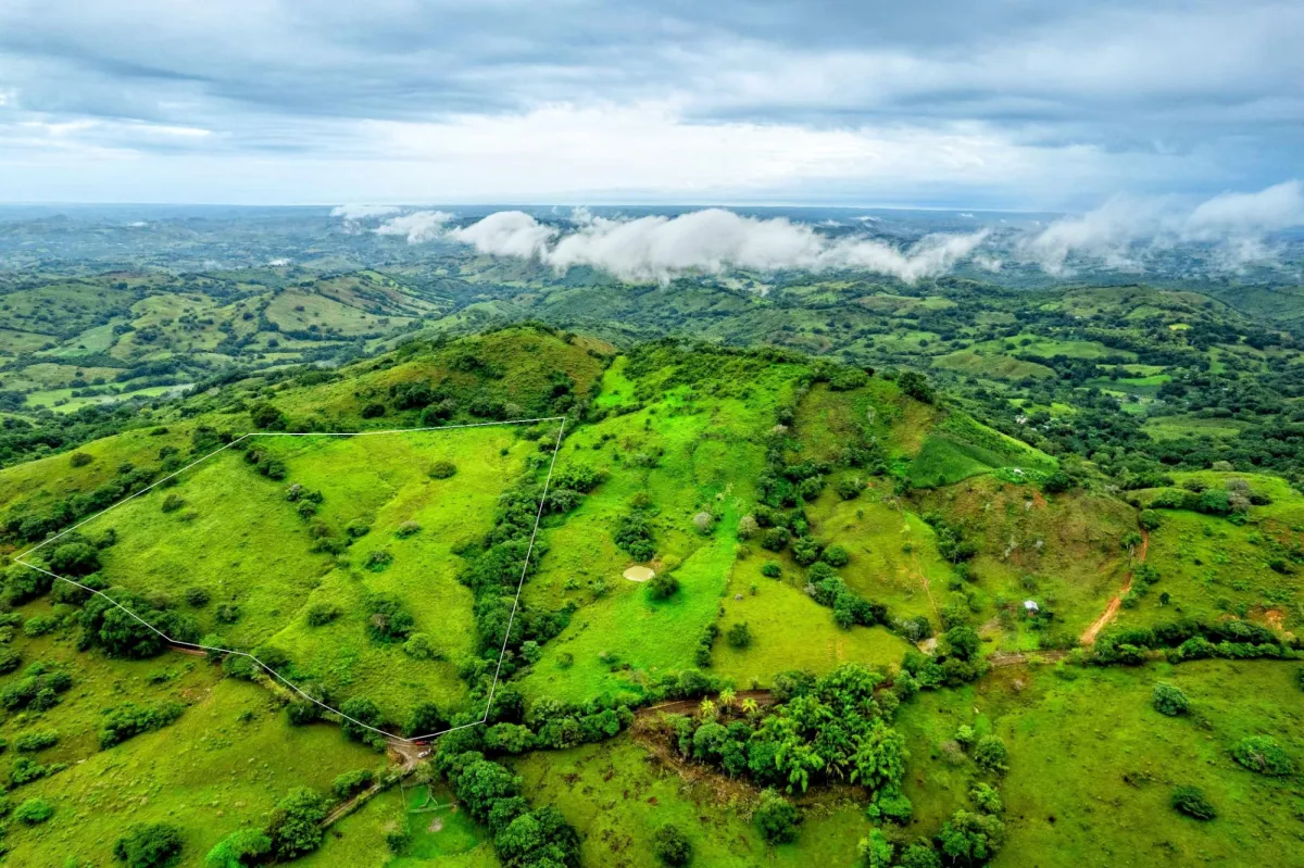 7 Ha Farm in Las Tablas Los Santos Panama