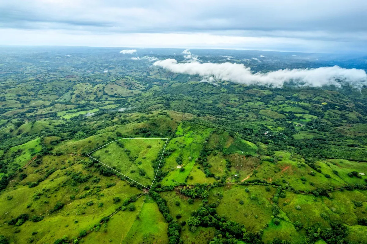 7 Ha Farm in Las Tablas Los Santos Panama