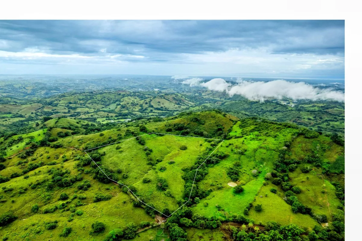 7 Ha Farm in Las Tablas Los Santos Panama