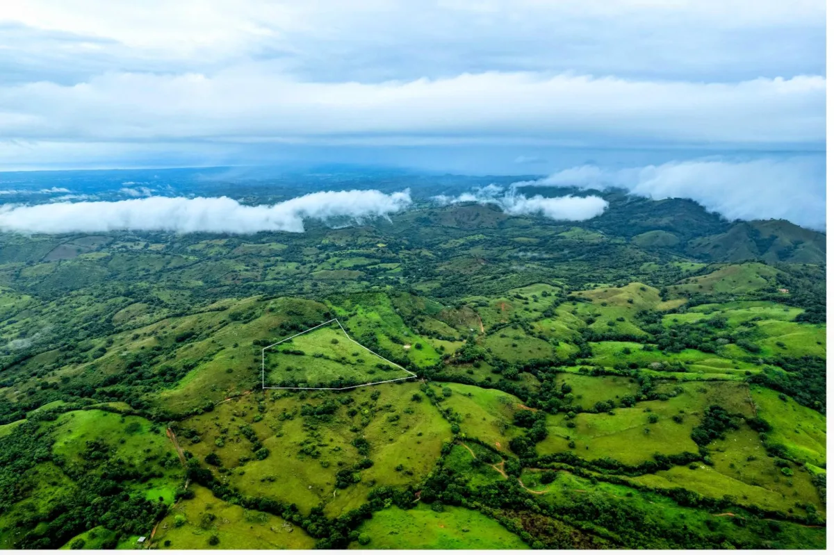 7 Ha Farm in Las Tablas Los Santos Panama