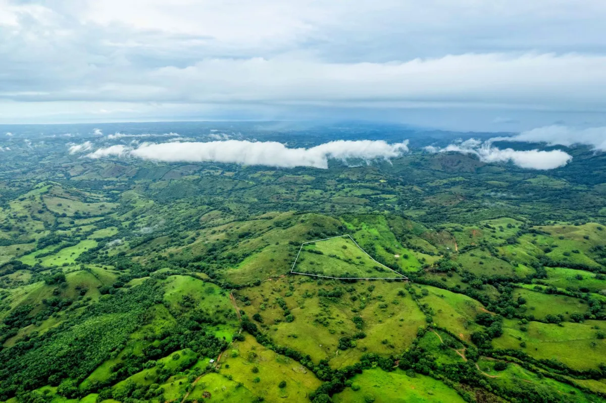 7 Ha Farm in Las Tablas Los Santos Panama