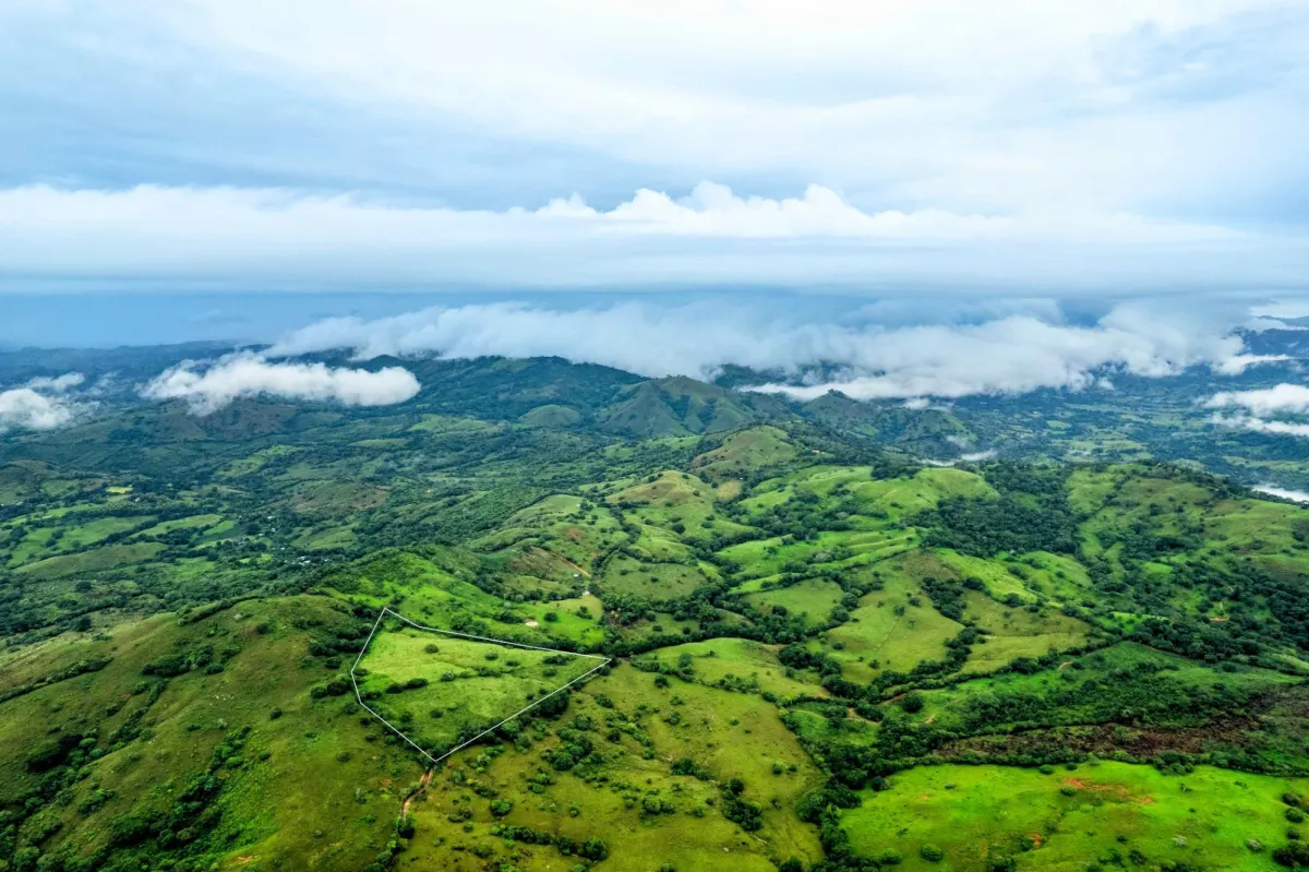 7 Ha Farm in Las Tablas Los Santos Panama